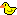:duckie: :duckie: